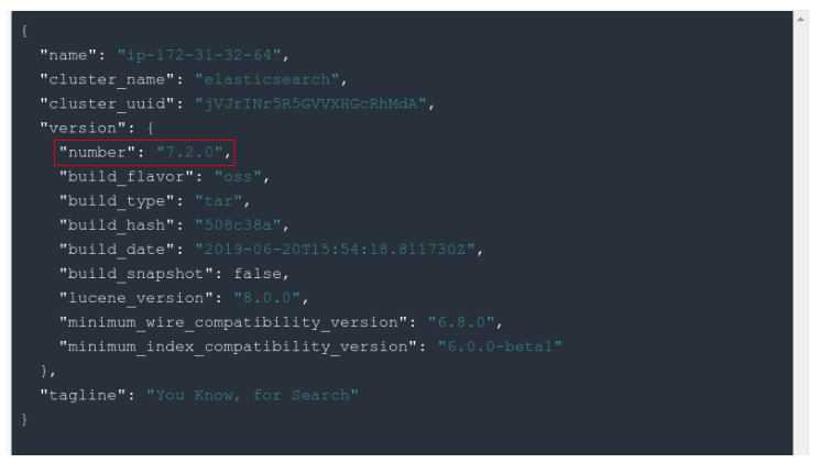 Interactive Console showing version