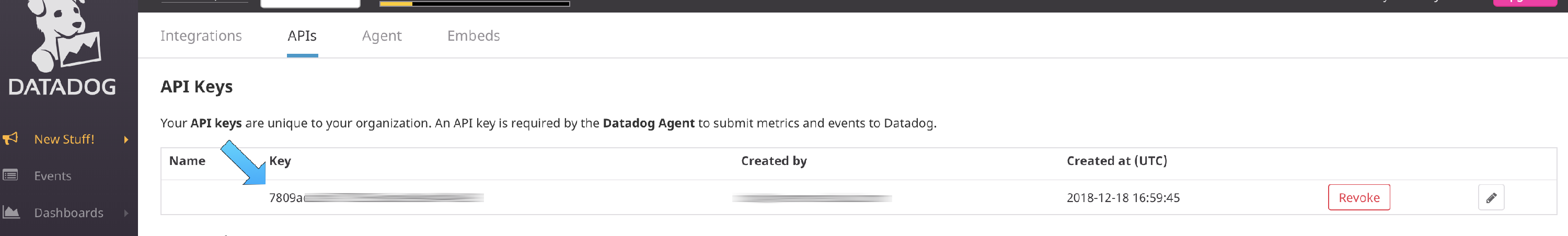 Datadog API Keys